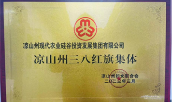 喜報(bào)！涼山農(nóng)投集團(tuán)公司榮獲 “涼山州三八紅旗集體”稱號(hào)